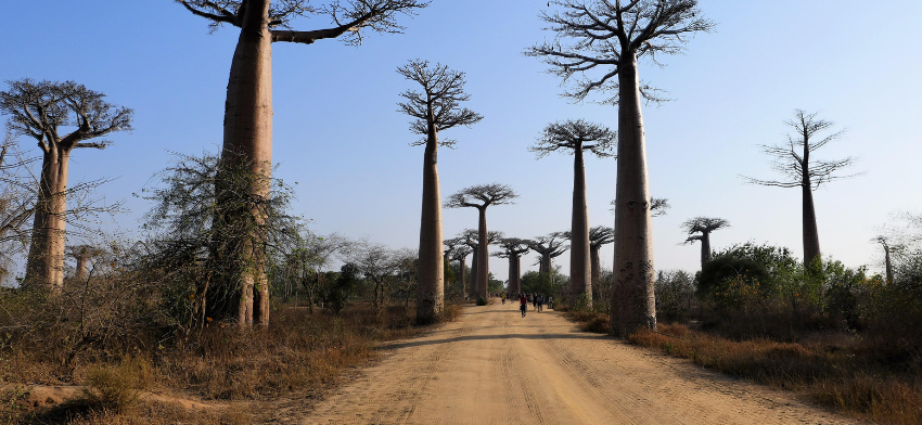 Madagascar