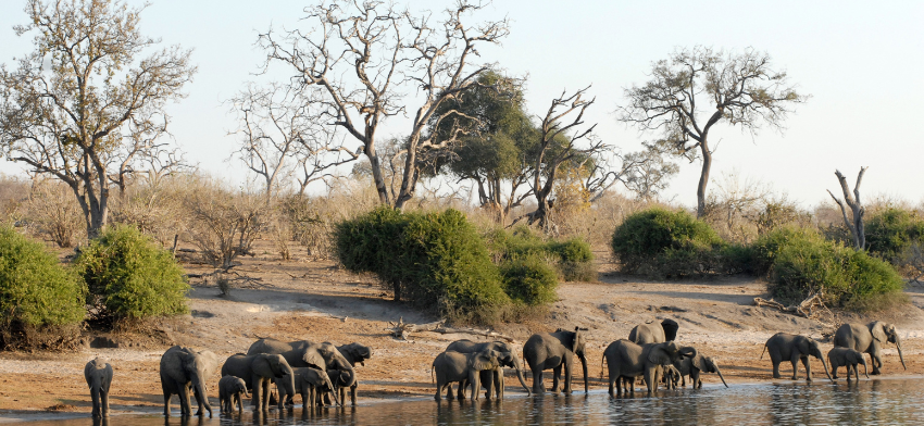 botswana